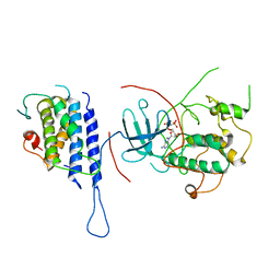 BU of 4lqs by Molmil