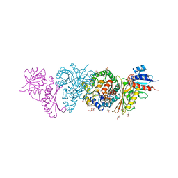 BU of 4lrs by Molmil