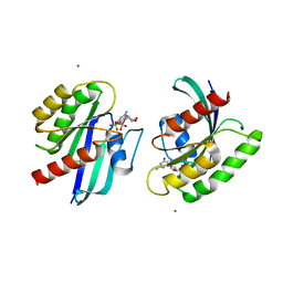 BU of 4lrw by Molmil