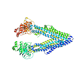 BU of 4lsg by Molmil