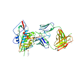 BU of 4lsu by Molmil