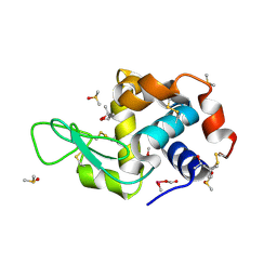 BU of 4lt3 by Molmil