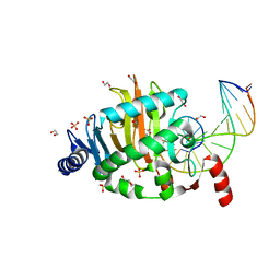 BU of 4lt5 by Molmil