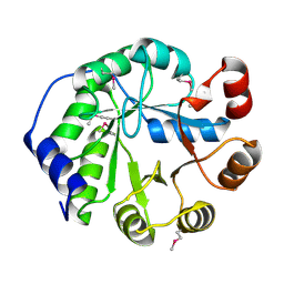 BU of 4lt9 by Molmil