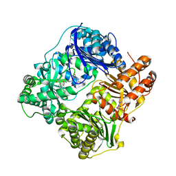 BU of 4lte by Molmil