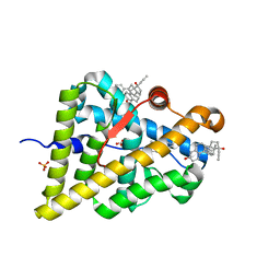 BU of 4ltw by Molmil