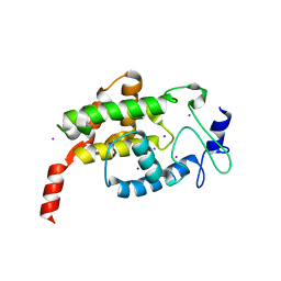 BU of 4lu4 by Molmil