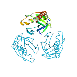 BU of 4lug by Molmil