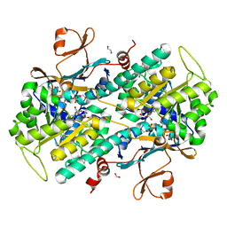 BU of 4lvf by Molmil