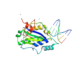 BU of 4lvm by Molmil