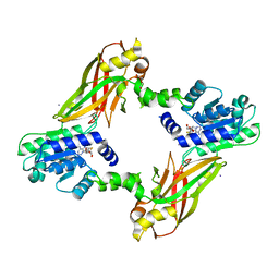 BU of 4lwp by Molmil