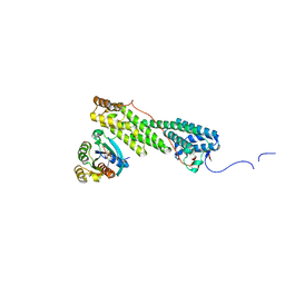 BU of 4lx0 by Molmil