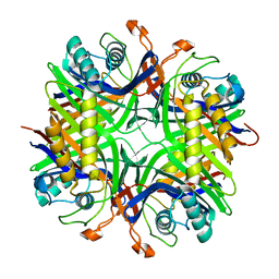 BU of 4mb8 by Molmil