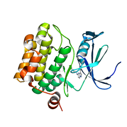 BU of 4mbi by Molmil