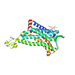 BU of 4mbs by Molmil