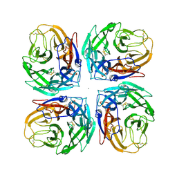 BU of 4mc7 by Molmil