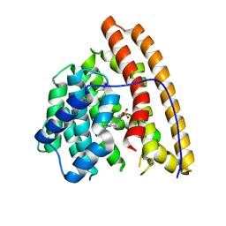 BU of 4mc8 by Molmil