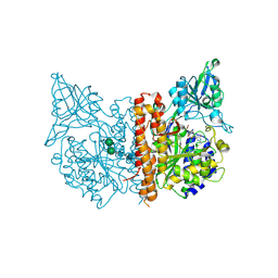 BU of 4mcp by Molmil