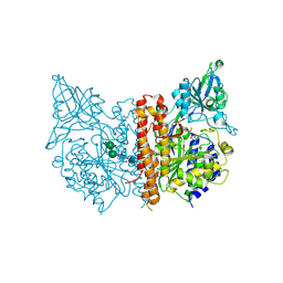 BU of 4mcs by Molmil