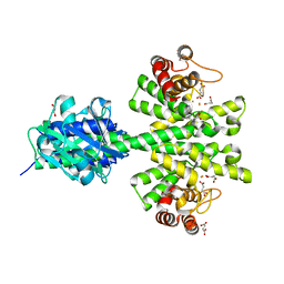 BU of 4mcw by Molmil