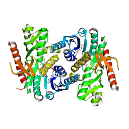 BU of 4mdh by Molmil