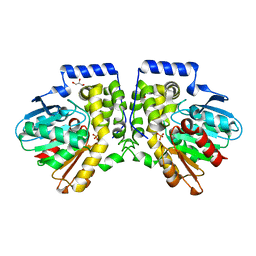 BU of 4meb by Molmil