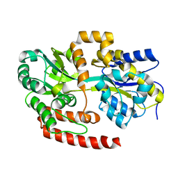 BU of 4mfi by Molmil