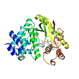 BU of 4mfp by Molmil