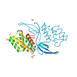 BU of 4mfr by Molmil