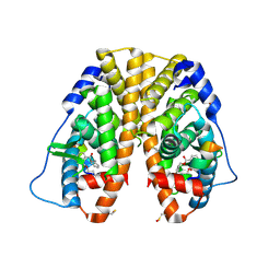 BU of 4mg6 by Molmil