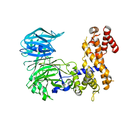 BU of 4mhc by Molmil