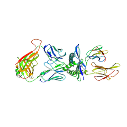 BU of 4mji by Molmil