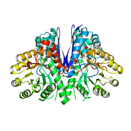 BU of 4mks by Molmil