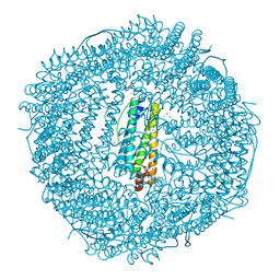 BU of 4mku by Molmil