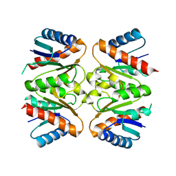 AU of 4ml3 by Molmil