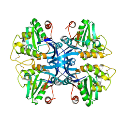 AU of 4ml6 by Molmil