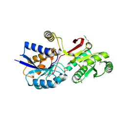 BU of 4mlc by Molmil