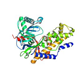 BU of 4mlh by Molmil