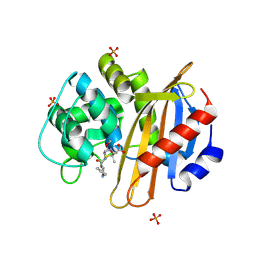 BU of 4mll by Molmil