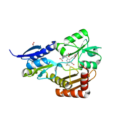 BU of 4mlv by Molmil