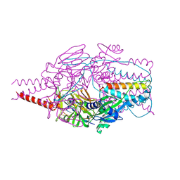 BU of 4mmt by Molmil