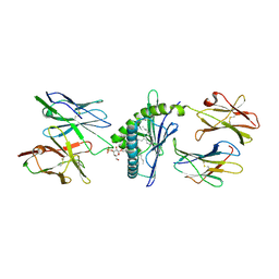 BU of 4mng by Molmil