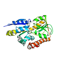 BU of 4mni by Molmil