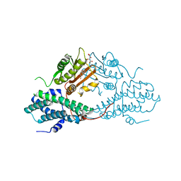 BU of 4mp2 by Molmil