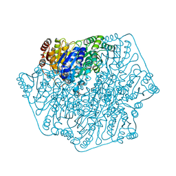 BU of 4mpp by Molmil