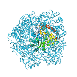 BU of 4mpq by Molmil