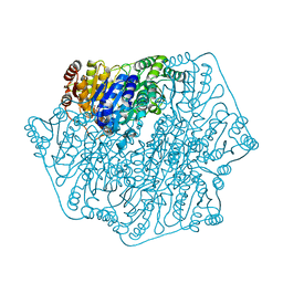 BU of 4mq5 by Molmil