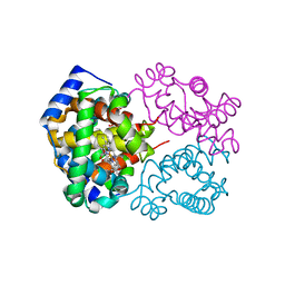 BU of 4mqc by Molmil