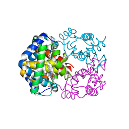 BU of 4mqi by Molmil