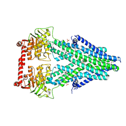 BU of 4mrp by Molmil